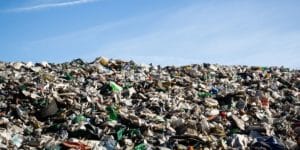 biodegradable compostable